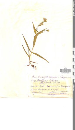 VOR 0006799