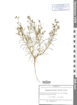 VOR 0042045