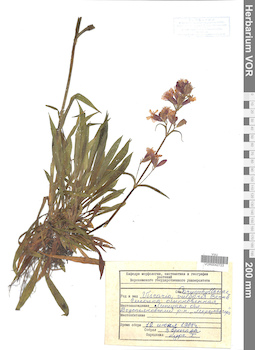 VOR 0042723