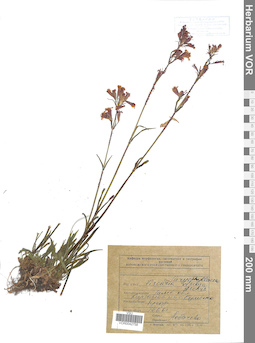 VOR 0042758