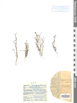 VOR 0008048