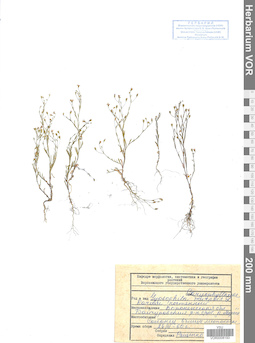 VOR 0008193