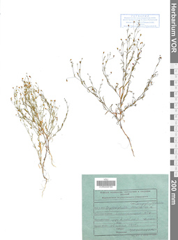 VOR 0008194