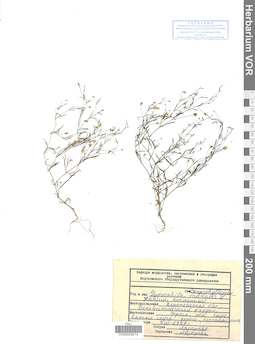 VOR 0008214