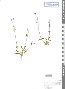 VOR 0041820