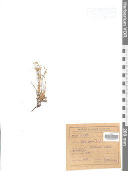 VOR 0006740