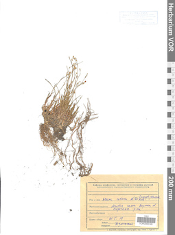 VOR 0006746