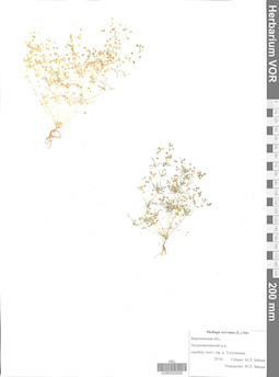 VOR 0023058