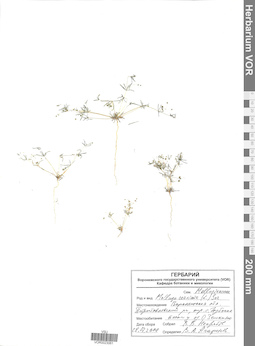 VOR 0023061