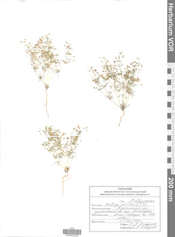 VOR 0023063