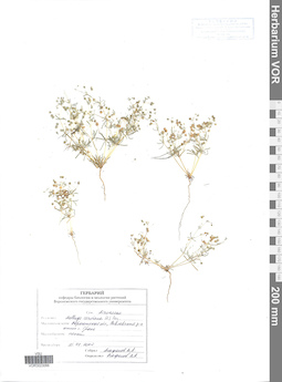 VOR 0023066