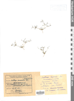 VOR 0023072