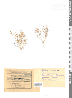 VOR 0023073