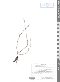 VOR 0022580