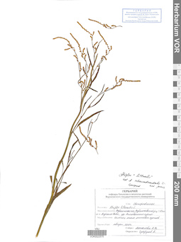 VOR 0022575