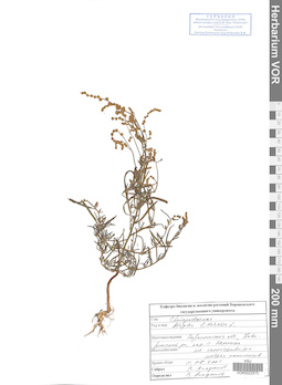 VOR 0022570