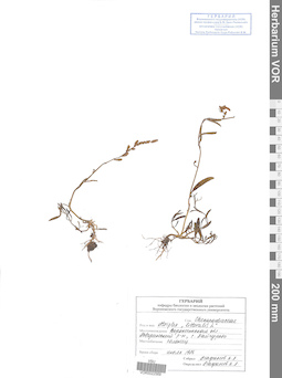 VOR 0022569