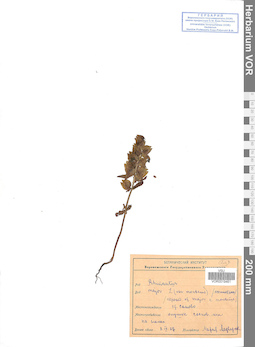 VOR 0019461