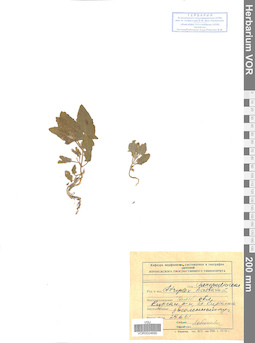 VOR 0024690