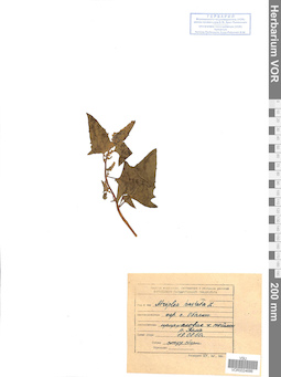 VOR 0024686