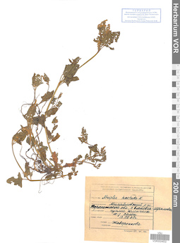 VOR 0024632