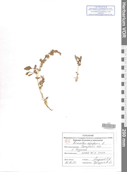 VOR 0023373