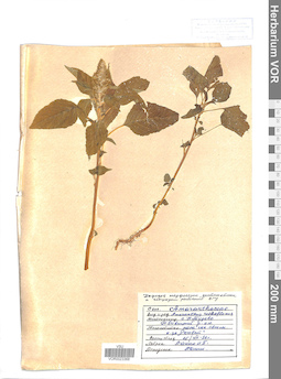 VOR 0023368
