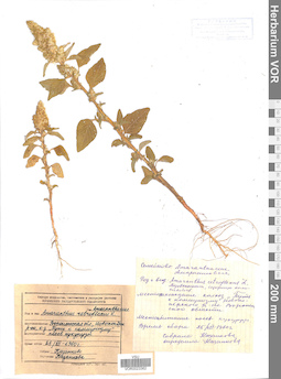 VOR 0023362