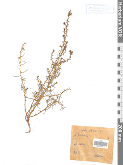 VOR 0022544