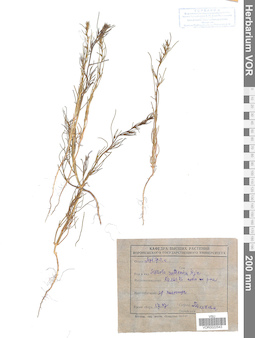 VOR 0022543