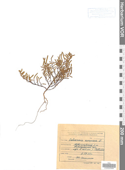 VOR 0023064