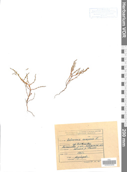 VOR 0023059