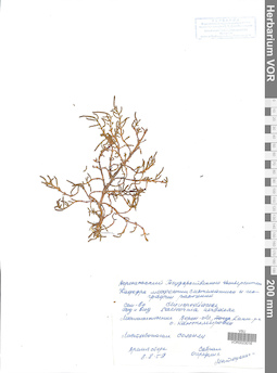 VOR 0023016