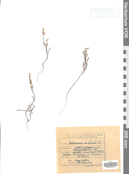 VOR 0023014