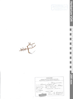 VOR 0023013