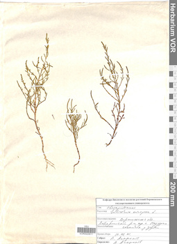 VOR 0023011