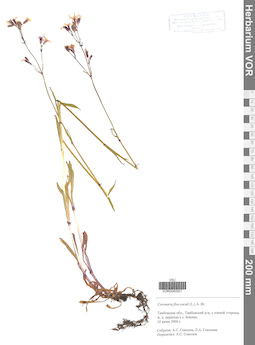 VOR 0040521