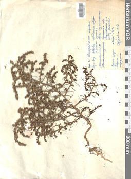 VOR 0023122