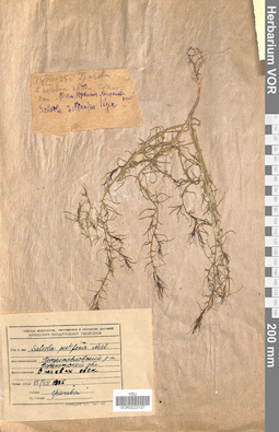 VOR 0023107
