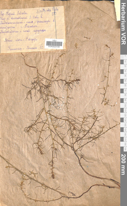 VOR 0023105