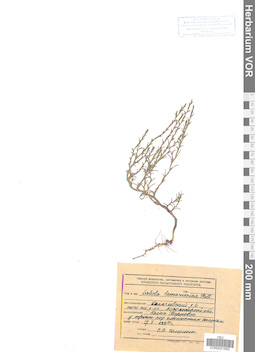VOR 0021693