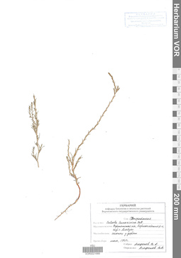 VOR 0021689