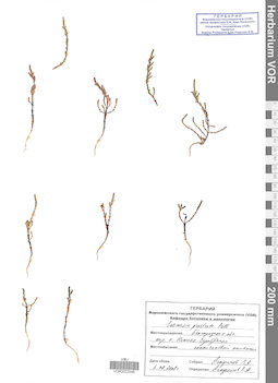 VOR 0022548