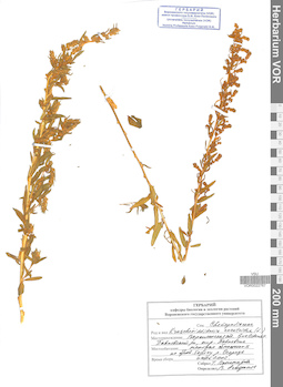 VOR 0022767