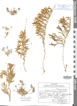 VOR 0022766