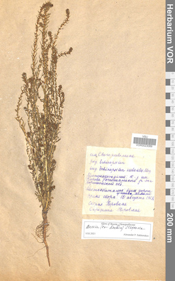 VOR 0023089