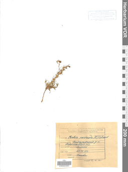 VOR 0022983