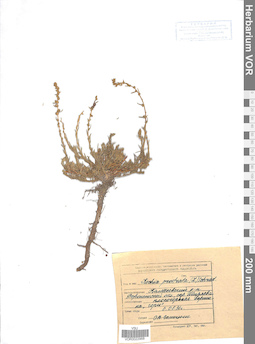 VOR 0022968