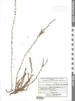 VOR 0022965