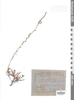 VOR 0022959